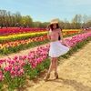 trendsandtulips